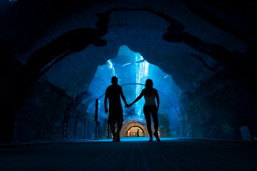 a couple holding hands in aquarium of dubai mall enjoying indoor activities in dubai